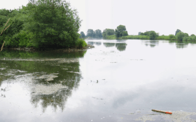 Hochwasser in Süddeutschland: Landwirte fürchten um ihre Existenz